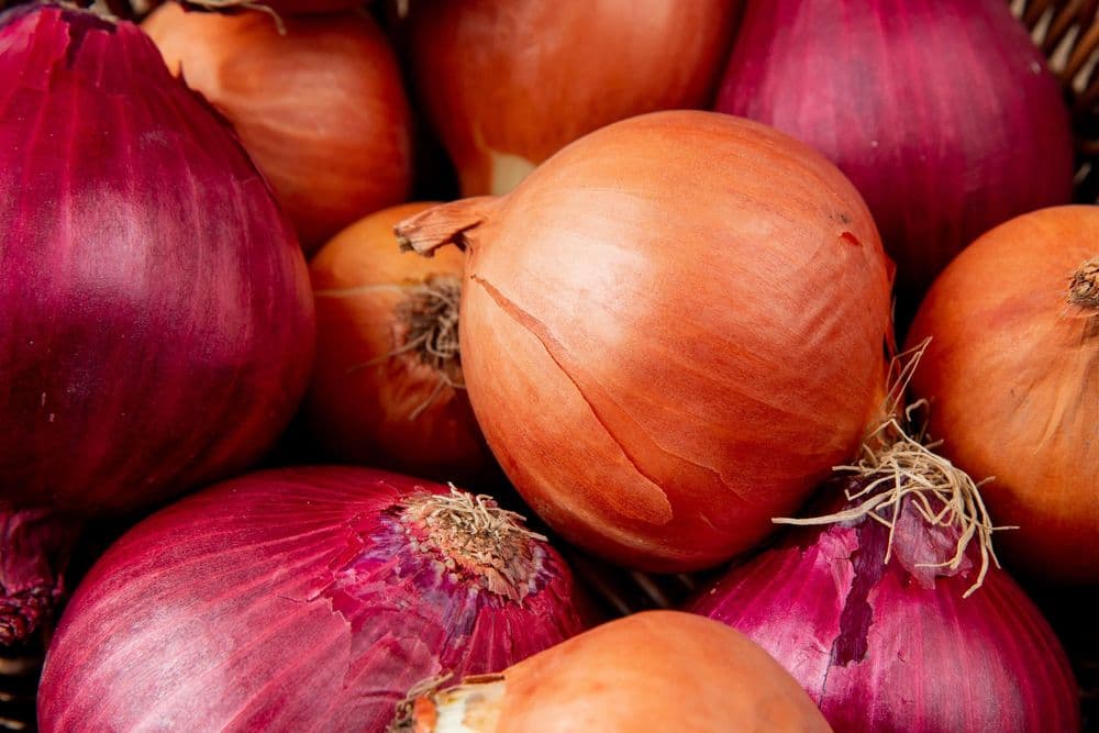 Cáscaras de cebolla: caldo dorado sin huesos ni verduras