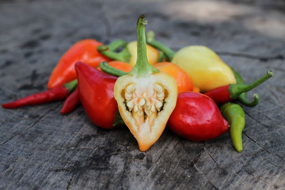 Ají Peppers, The Quiet Revolution in Peruvian Cuisine