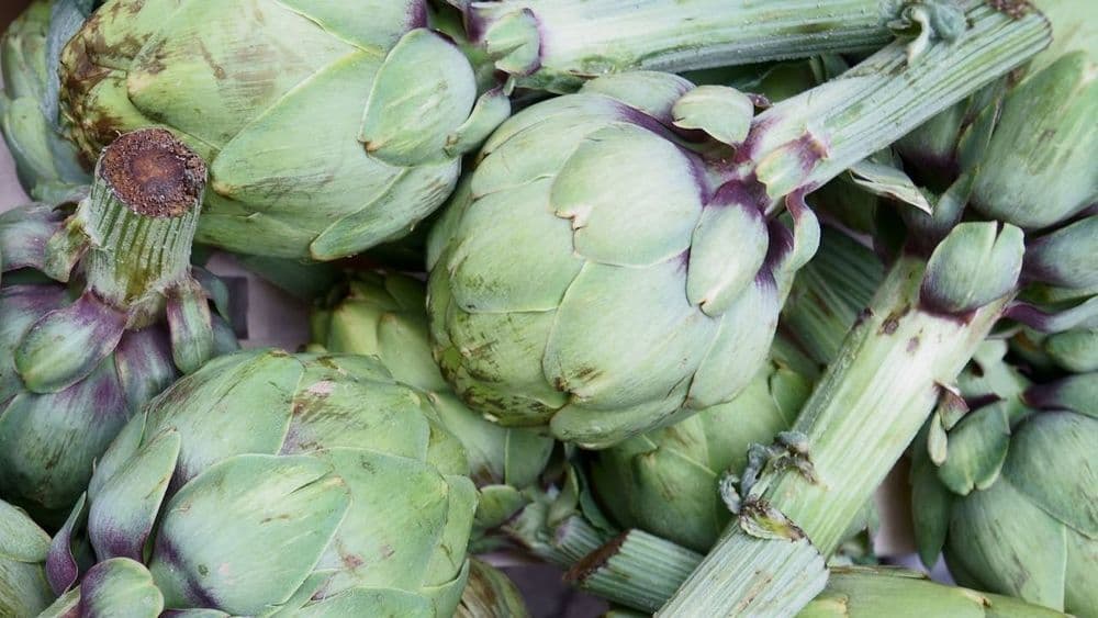 Carciofi alla Giudia, il Fritto Romano che Racconta Secoli di Cucina Kosher