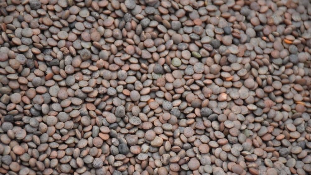 Lentilhas Pretas na Cozinha Indiana, Proteína Vegetal em Fogo Lento