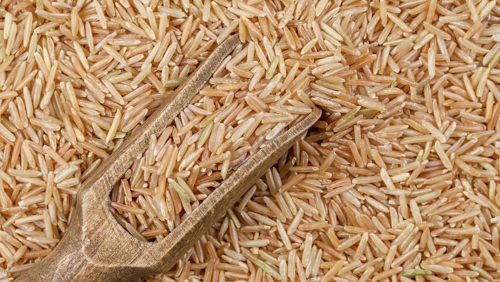 Arroz Integral na Cozinha Macrobiótica, o Grão que Ancora uma Filosofia