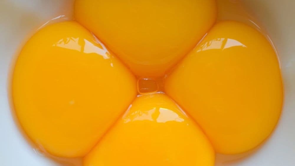 Eierklärung beim Eidotter, warum pasteurisierte Varianten für Säuglingsbeikost sicherer sind