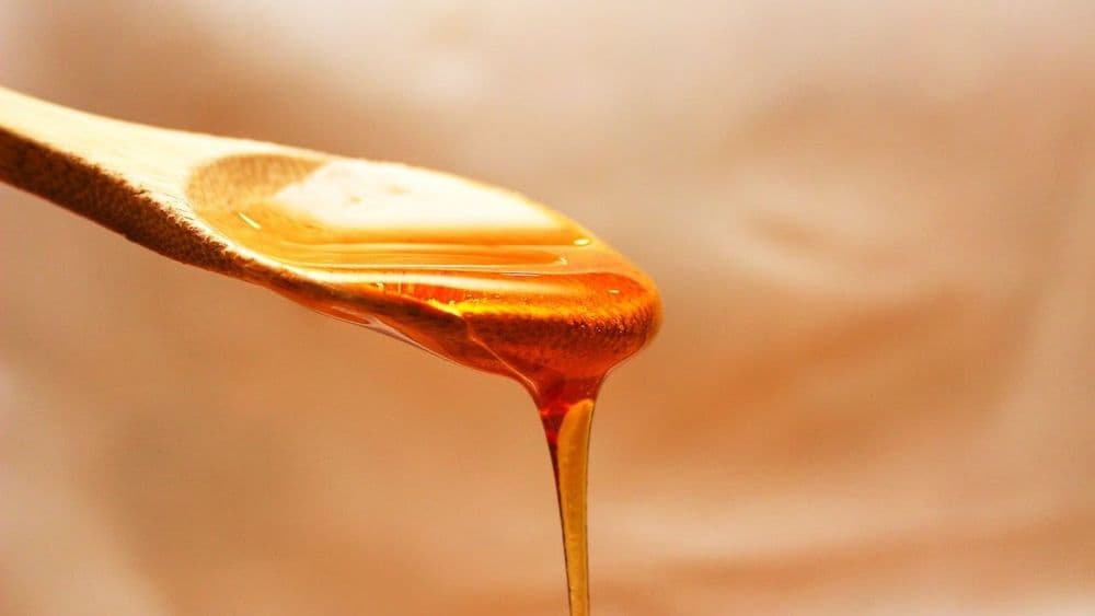 Honig in der SCD-Ernährung, ein erlaubtes Süßungsmittel mit präzisen Grenzen