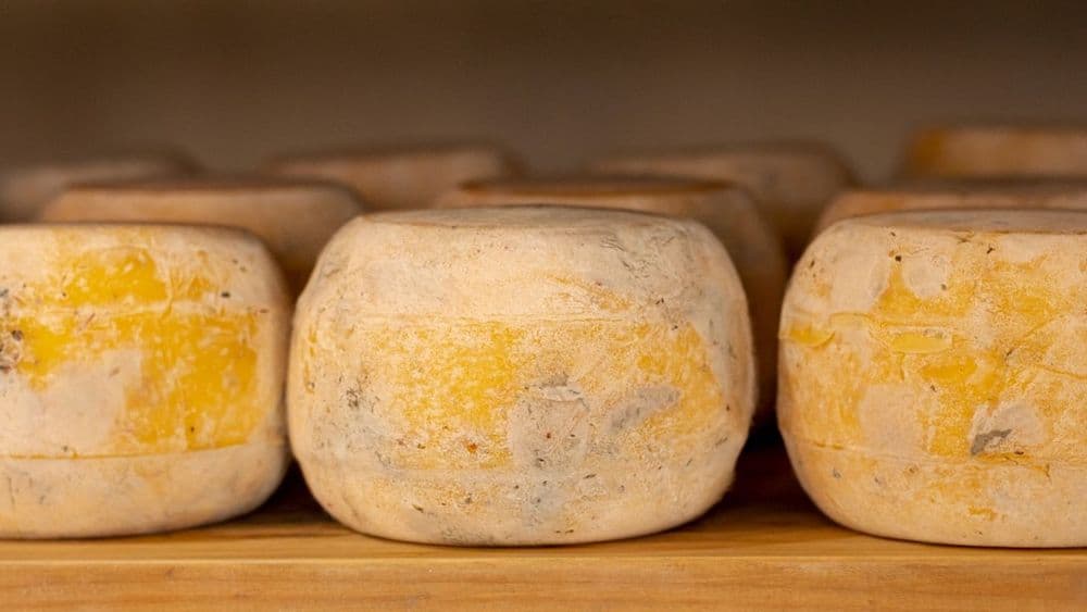 Formaggi a Pasta Dura Stagionati, Opzioni Sicure da Scegliere in Gravidanza