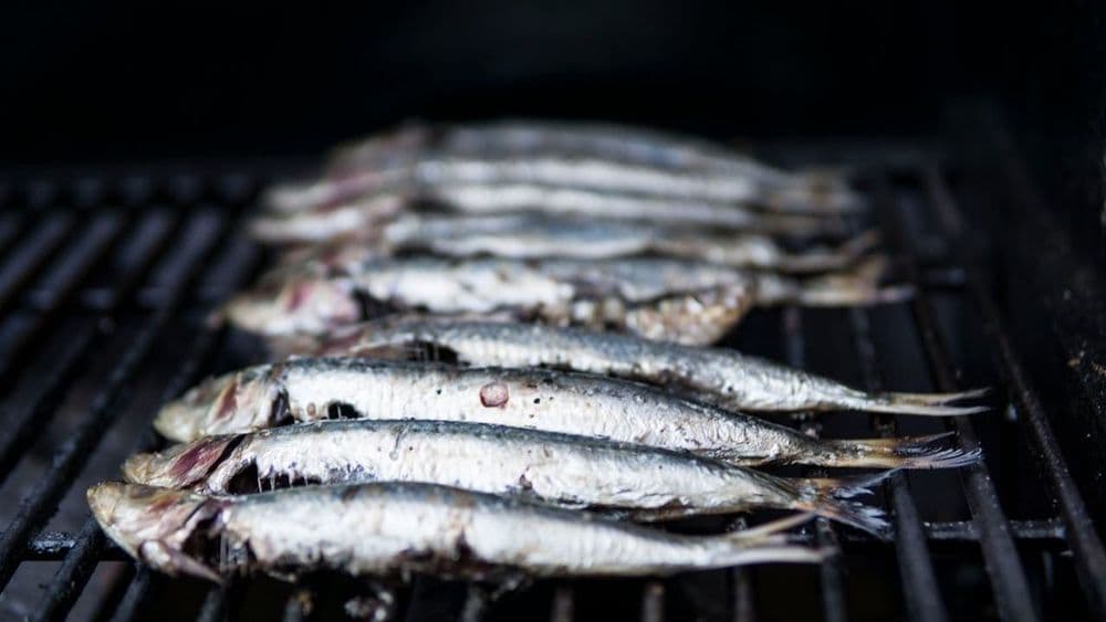 Sardinhas na Brasa, o Prazer Flexitariano do Verão Português